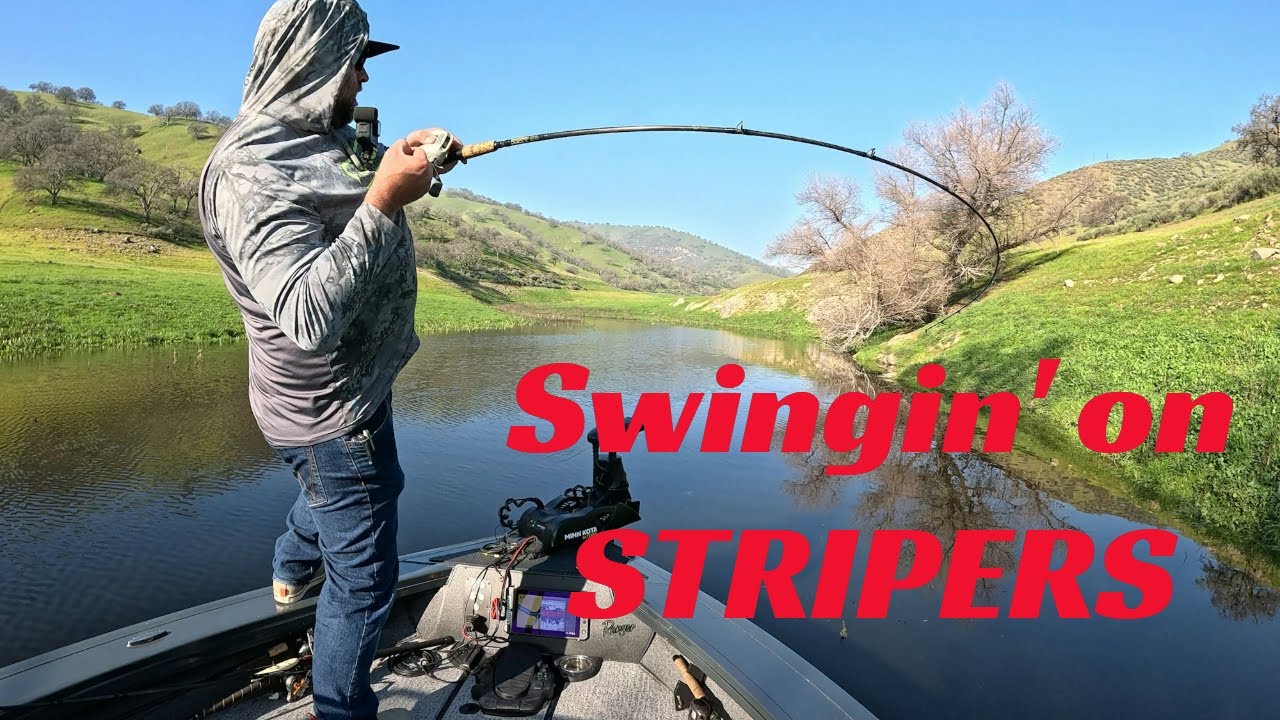 San Luis Reservoir - World-Class Striped bass fishing!!   #stripedbass #sanluis #fishing