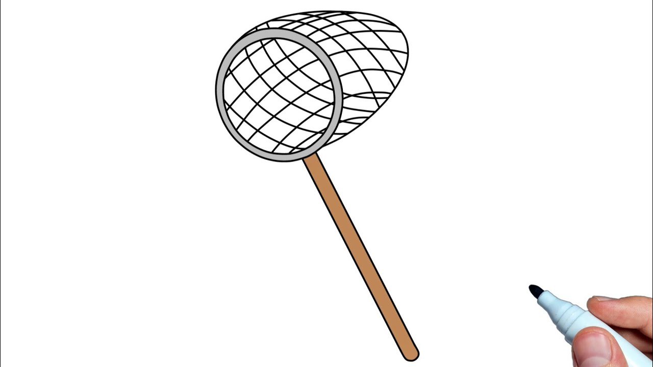 How to draw a Net easy step by step