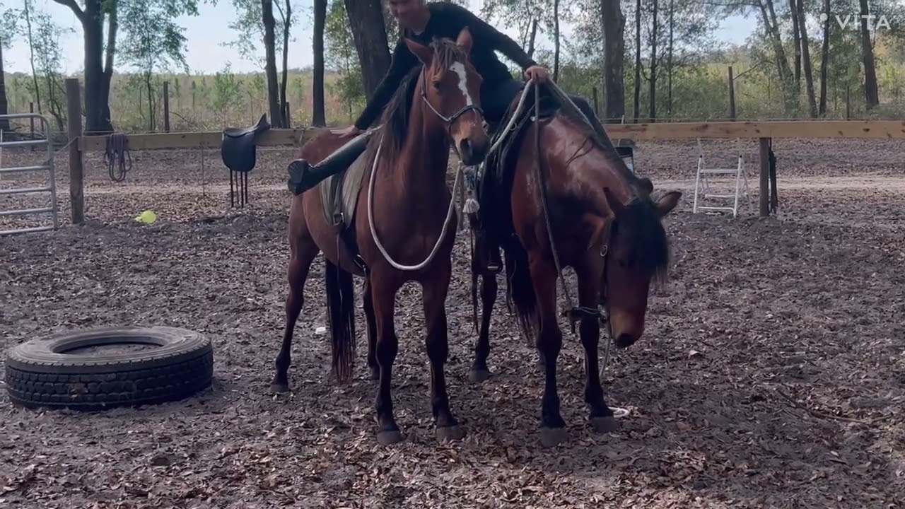 Calamity Jane