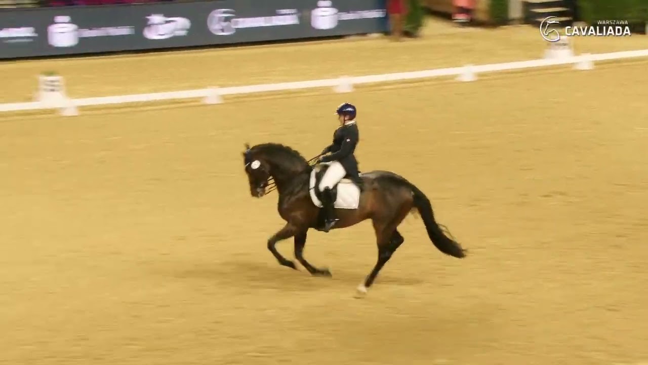 CAVALIADA Warszawa 2022: Sandra Sysojeva, FOUND BOY, DRESSAGE TOUR