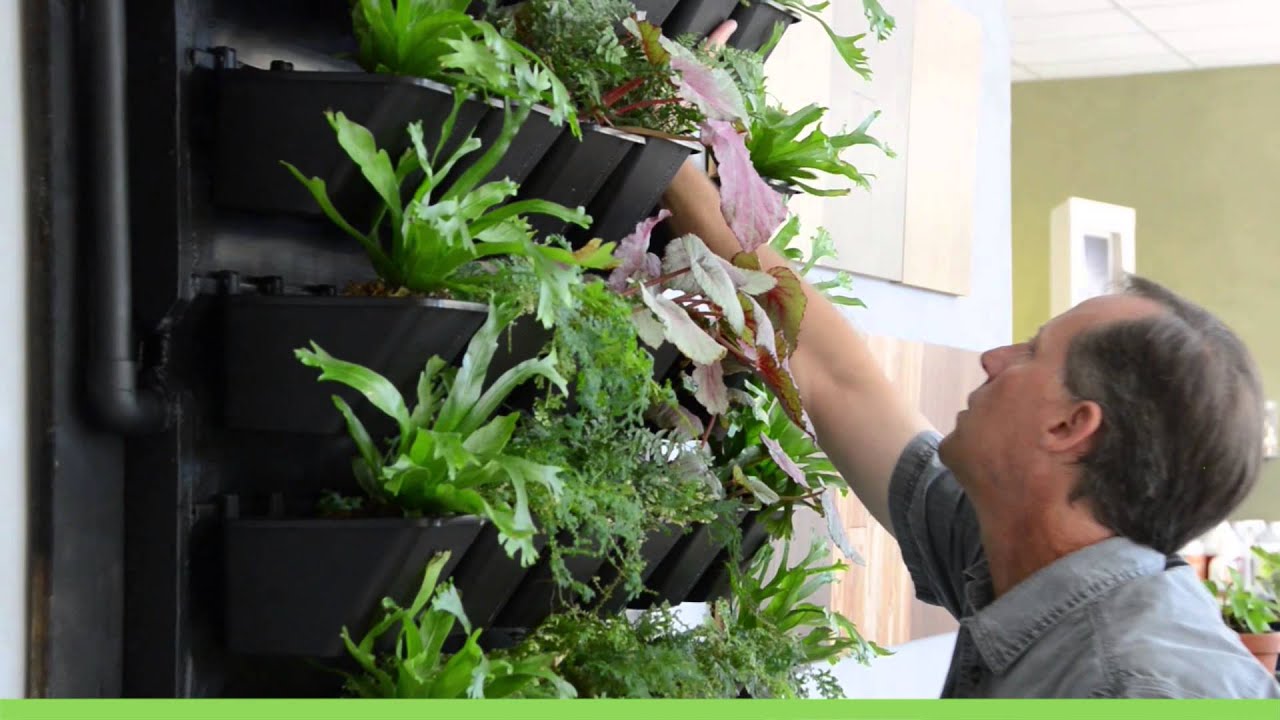 Living Air:  Green Walls Active Planting System