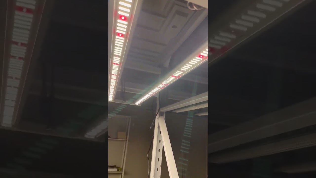 Next Gen LED grow light #ledgrowlight #ledgrowlights #verticalfarming #hydroponic #indoorgarden