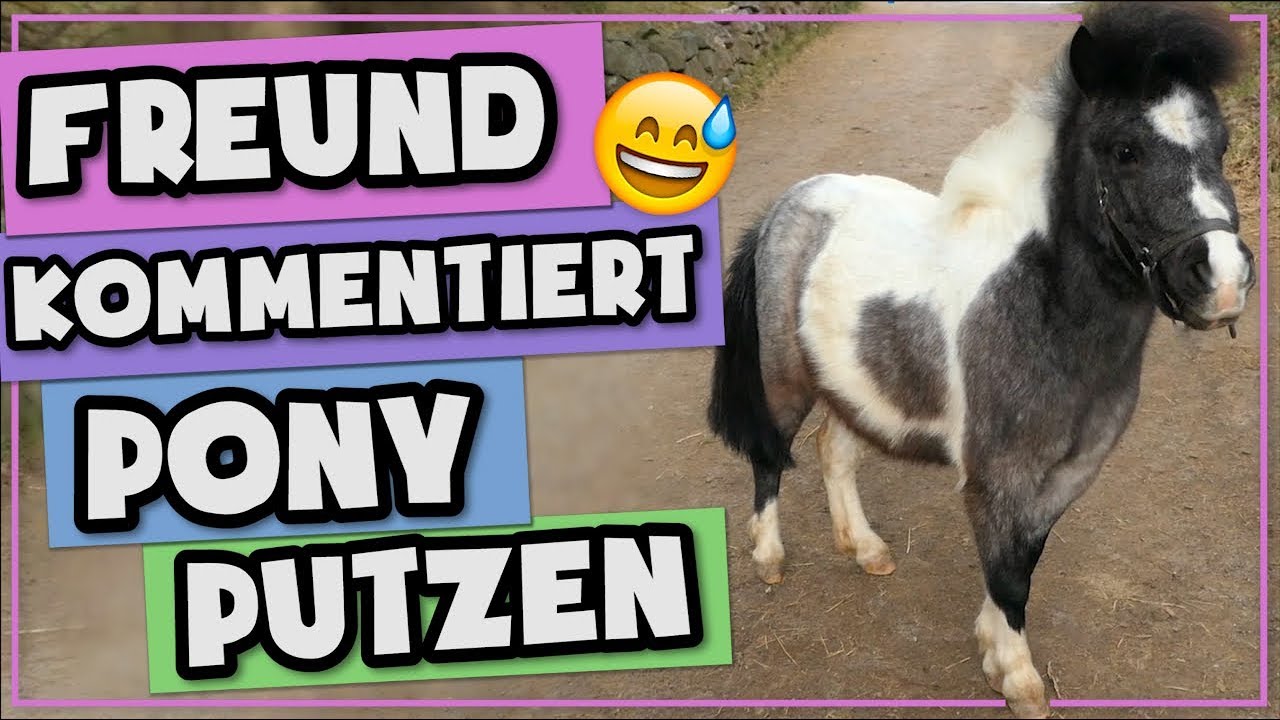 FREUND KOMMENTIERT PONY PUTZEN :)