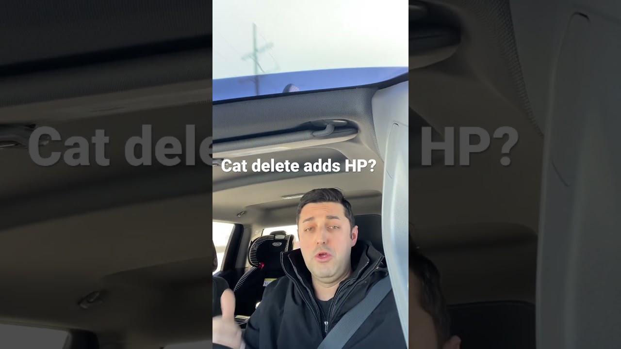 Does cat delete gain you any HP?