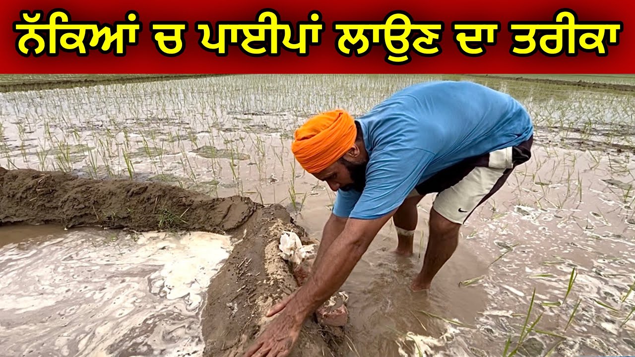 ਸਾਡਾ ਨੱਕਿਆਂ 'ਚ ਪਾਈਪਾਂ ਲਾਉਣ ਦਾ ਤਰੀਕਾ । Gur Brar Vlogs
