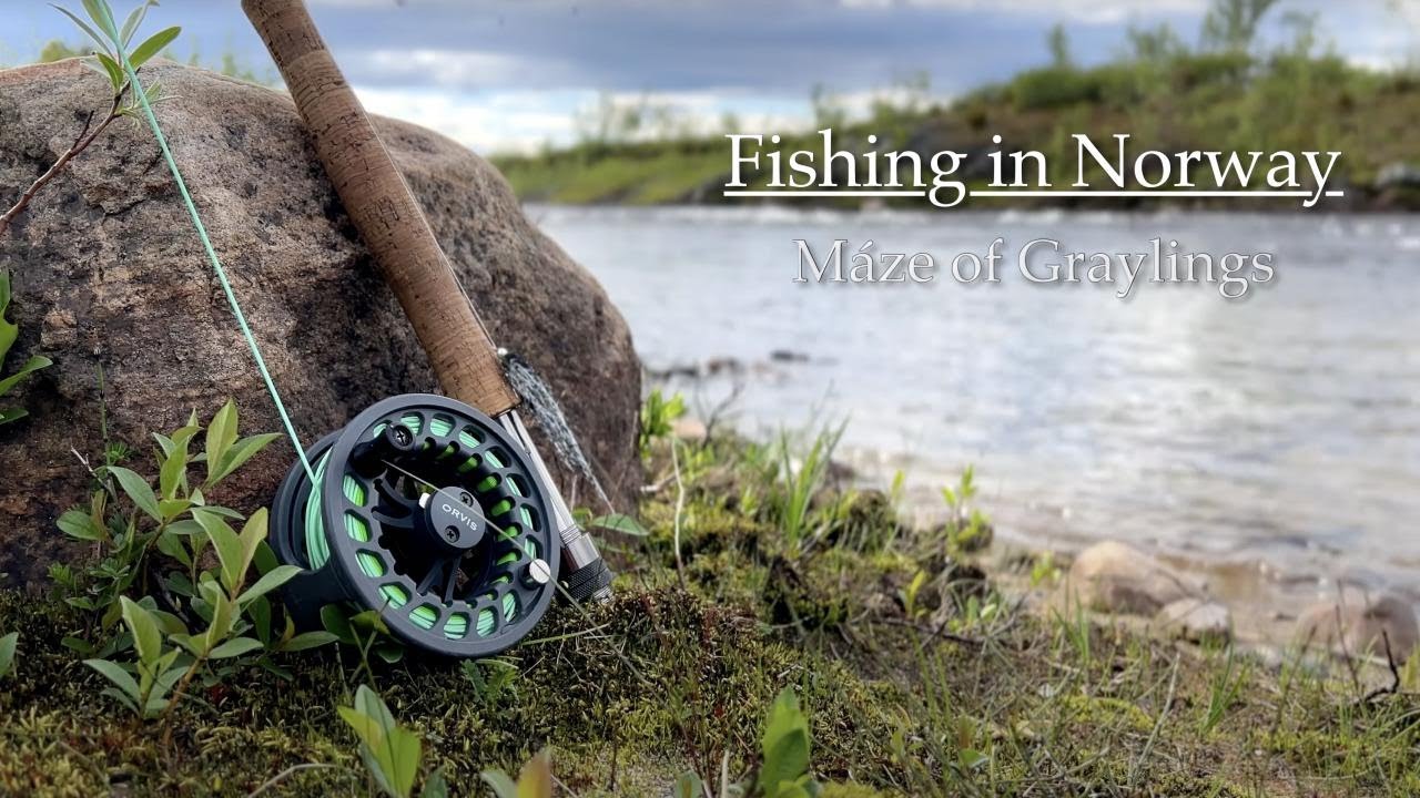 Fishing in Norway | Máze of Graylings