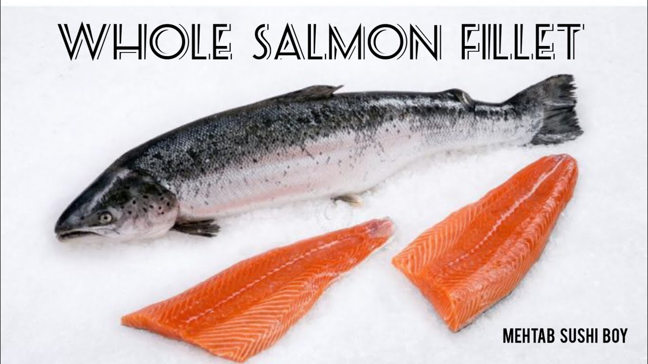 How To Fillet Whole Salmon 🐠 || Salmon Cutting Skills #salmon