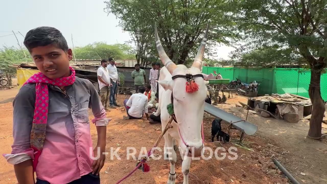  ಮಜರೆಕೋಪ್ಪ ಮೈದಾನ | MAJAREKOPPA MINUTES MAIDAN #uttarakarnataka 