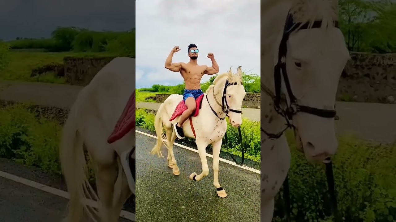Pawan sahu on horse #trending #shortvideo #viral #pawansahu777 #youtubeshorts #horse