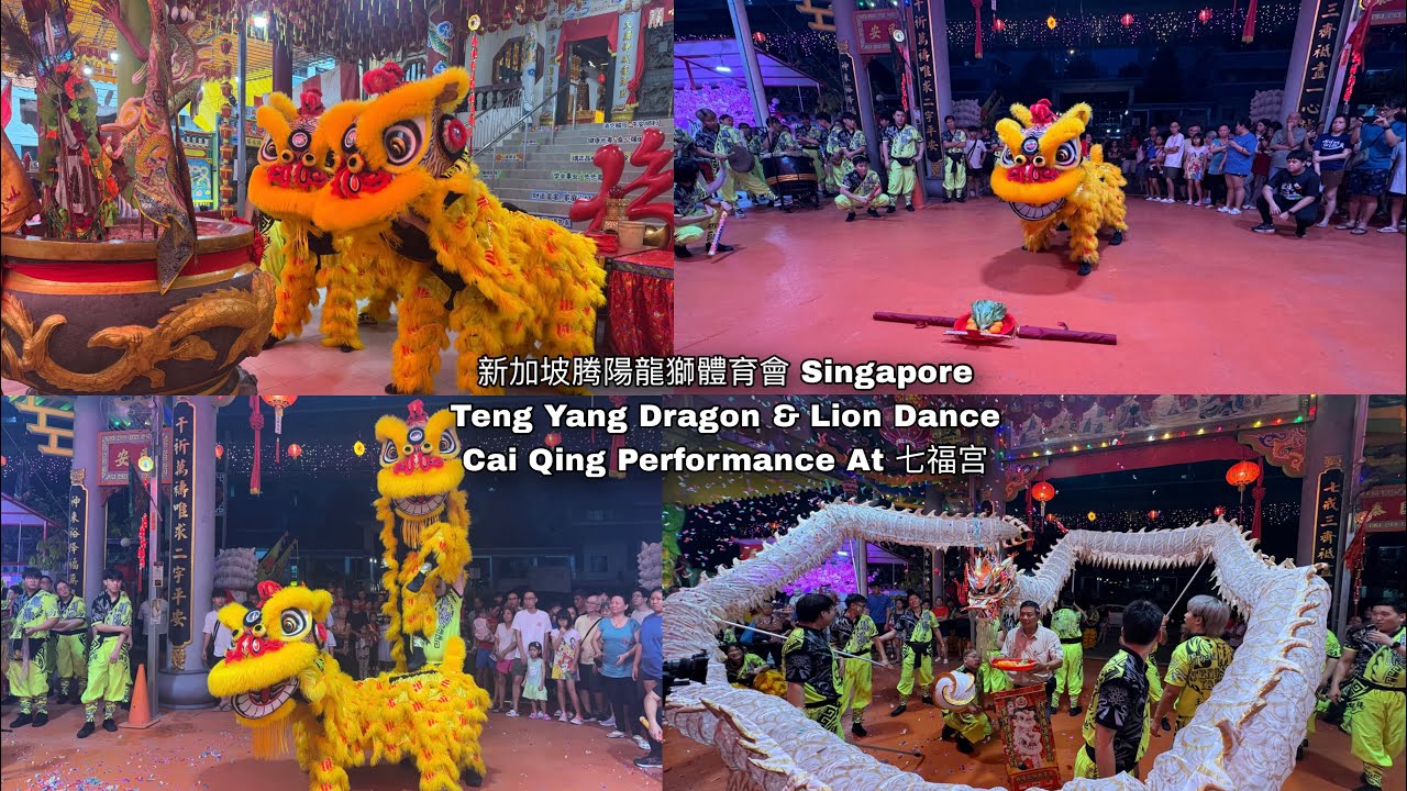 新加坡腾陽龍獅體育會 Singapore Teng Yang Dragon & Lion Dance  Association at 七福宫 17.01.26