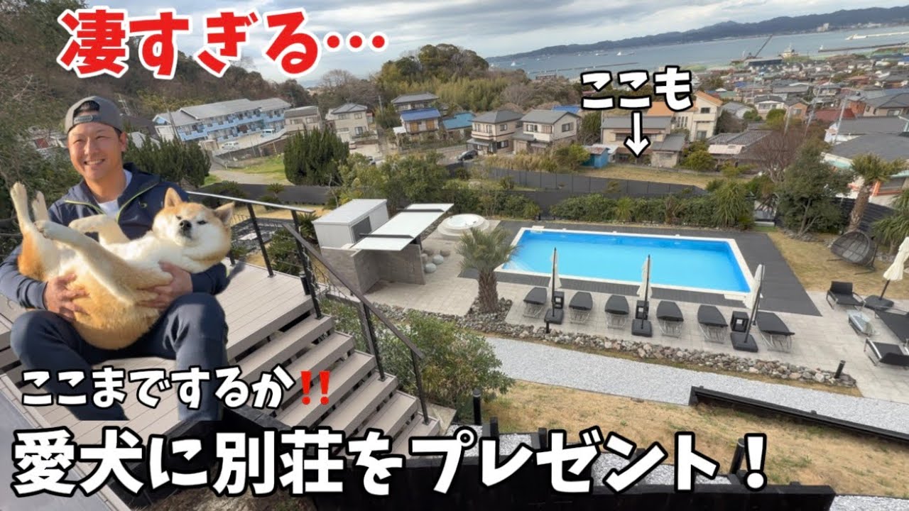 【驚きと緊張】テンションが爆発する柴犬とハスキーに起こった結末とは…