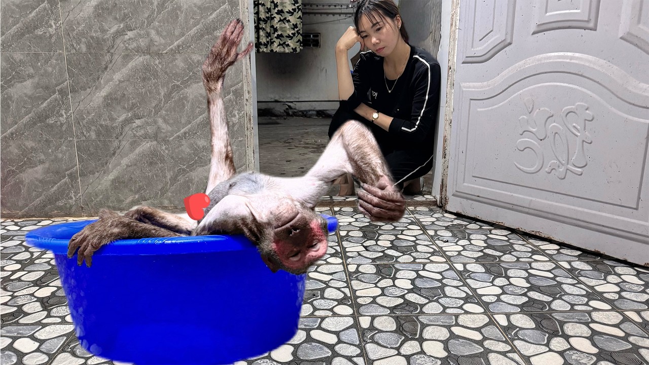 You Won’t Stop Laughing as Mom Tries to Figure Out How to Bathe Abu