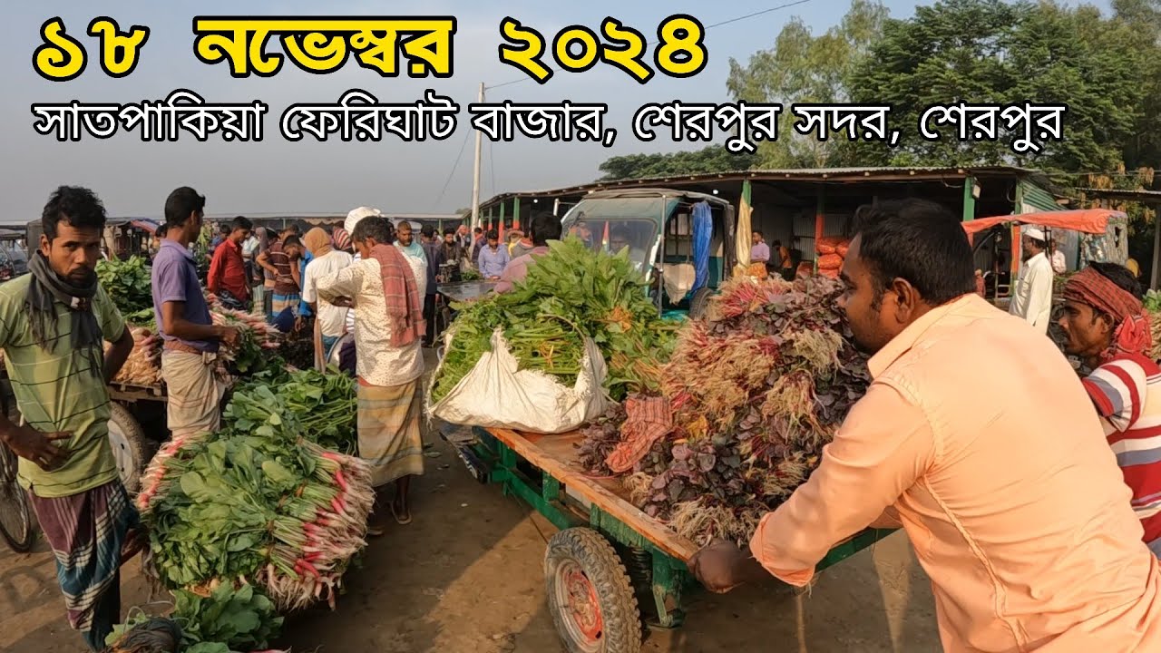 ১৮ই নভেম্বর সোমবার | আজ সবজির সাথে শাকের আমদানিও বেশ ভালো | সাতপাকিয়া ফেরিঘাট বাজার, শেরপুর