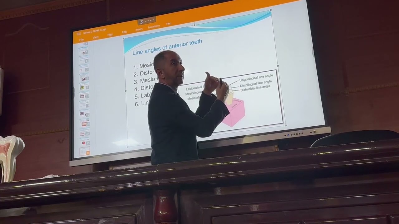 Dental Anatomy: المحاضرة الثانية