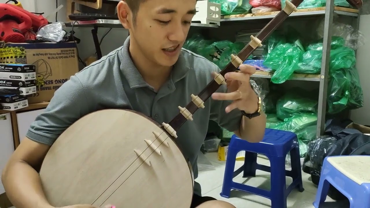 Dan Nguyet Vietnamese Classical Lute