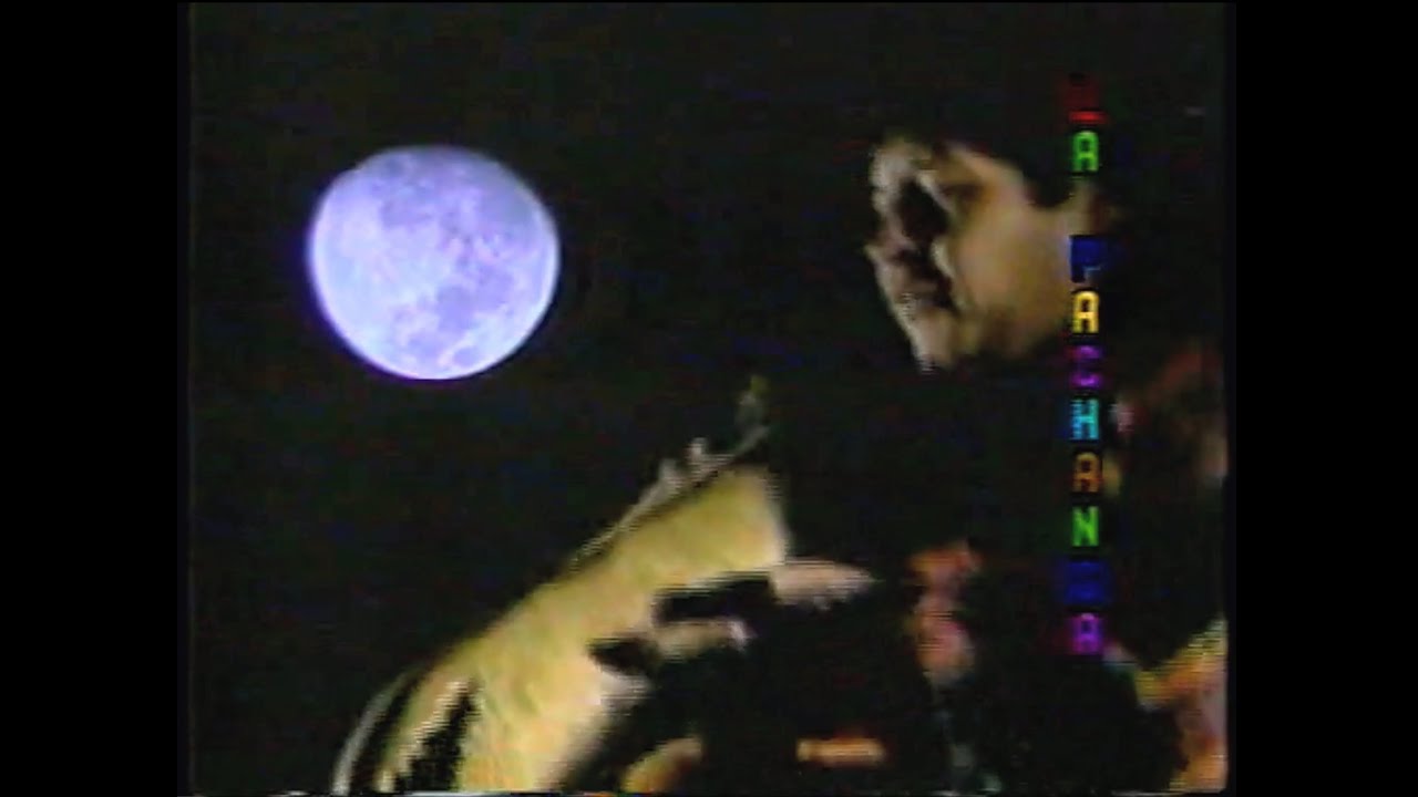 Los Masis - Negra fortuna | Videoclip oficial