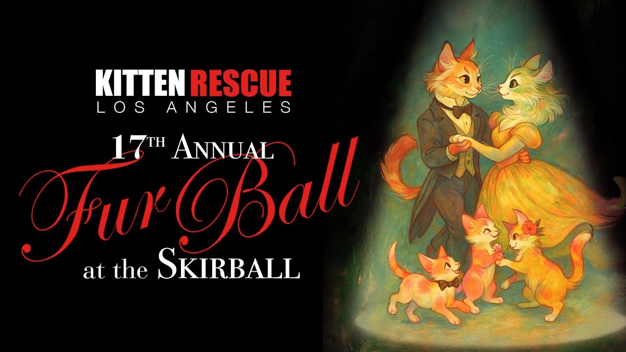 Kitten Rescue's 17 Annual  Fur Ball Gala