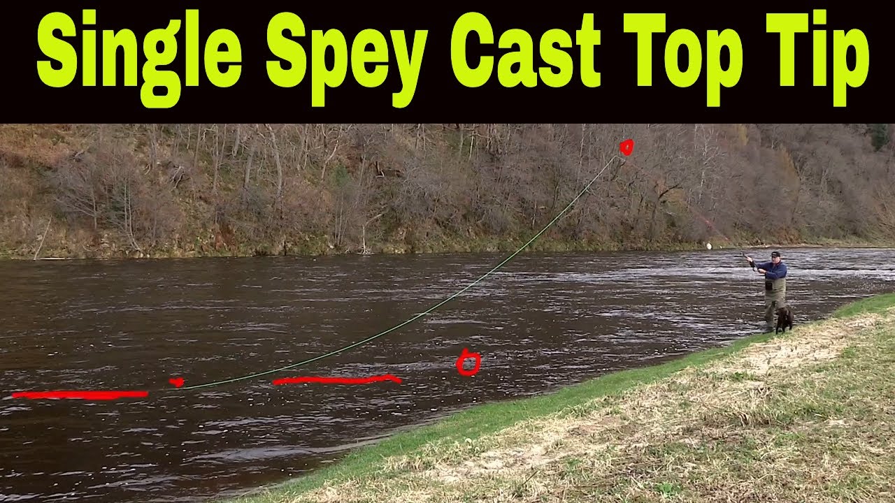 Perfect Your Single Spey Cast With These Pro Tips