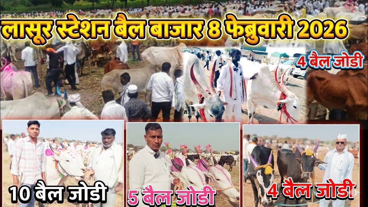 Bail bajar Lasur Lasur station Bail bajar 8 February 2026 