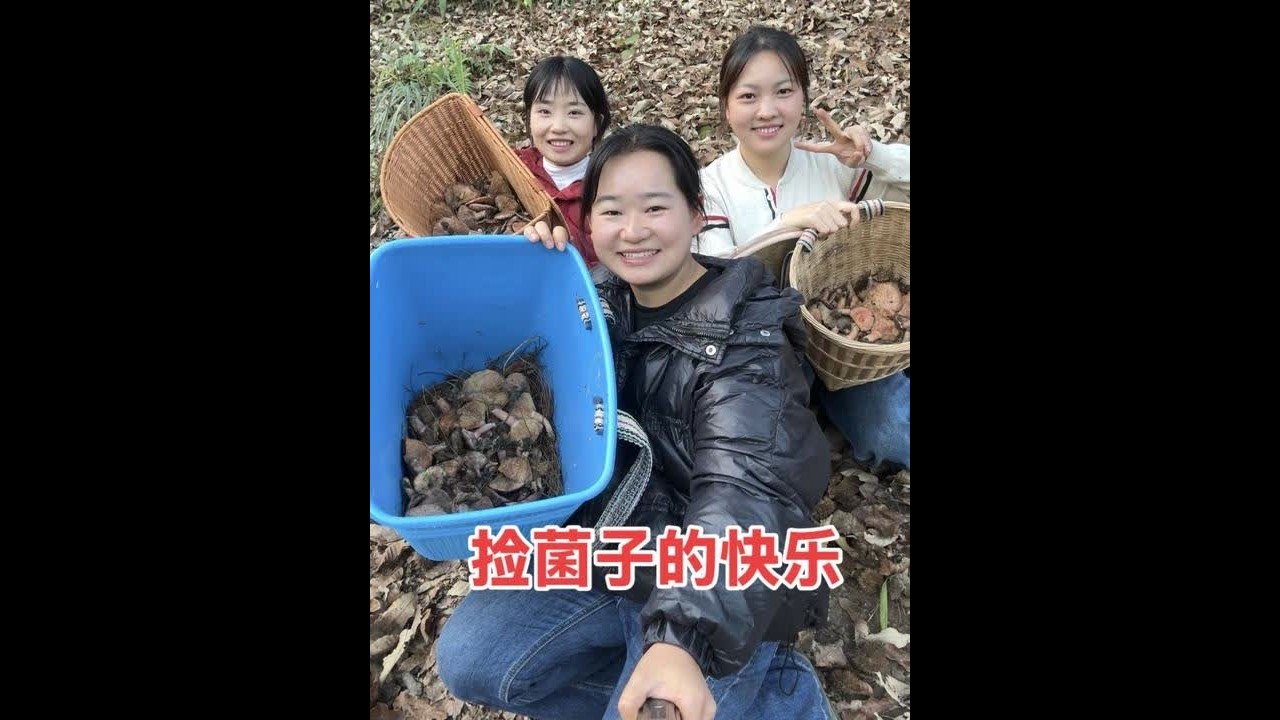 谁能拒绝捡菌子的快乐？三妯娌又再次进山采菌子，真是太治愈了 #我的农村生活 #捡菌子 #大山里的味道