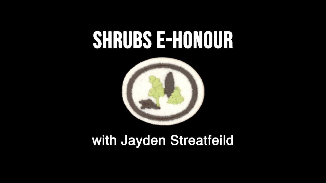 Shrubs e-Honour