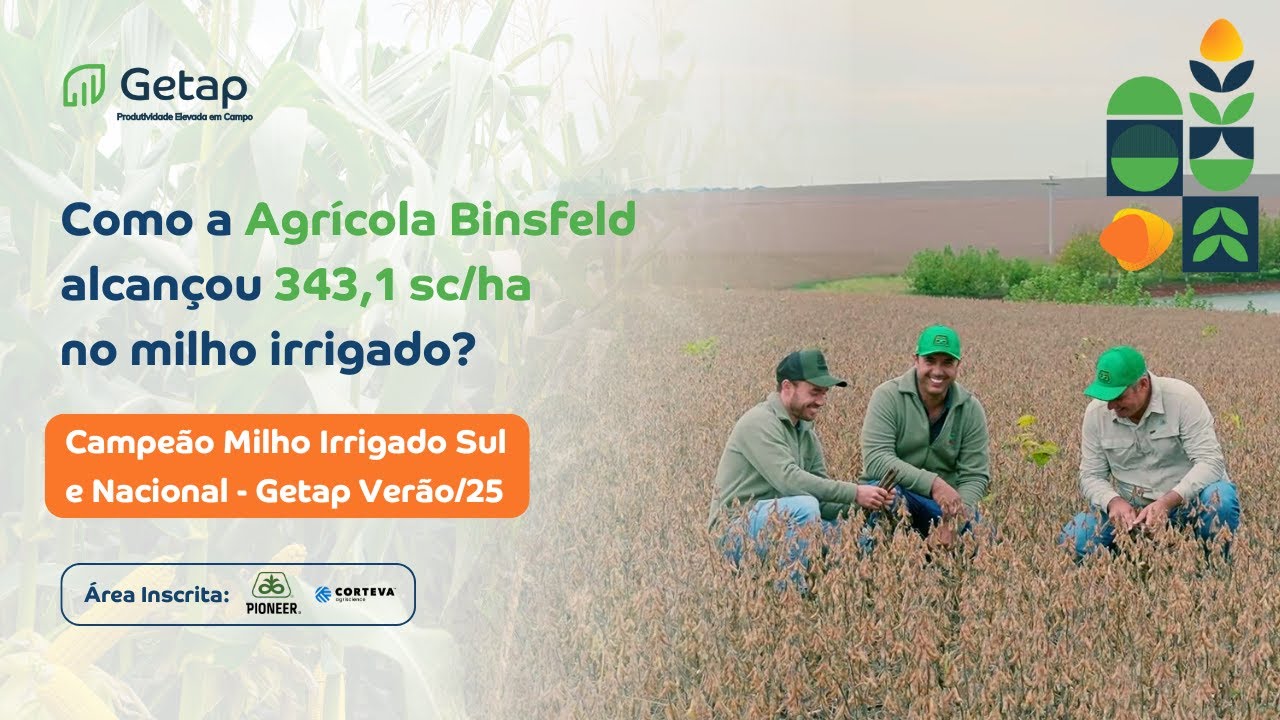 Visita Técnica Agrícola Binsfeld | Campeã Milho Irrigado Verão/25 – Sul e Nacional