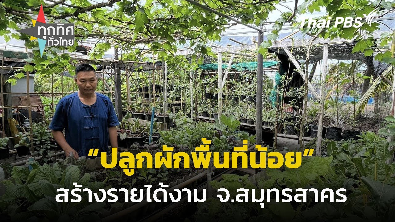 ปลูกผักพื้นที่น้อย สร้างรายได้งาม จ.สมุทรสาคร | ทุกทิศทั่วไทย | 5 ก.ค. 67