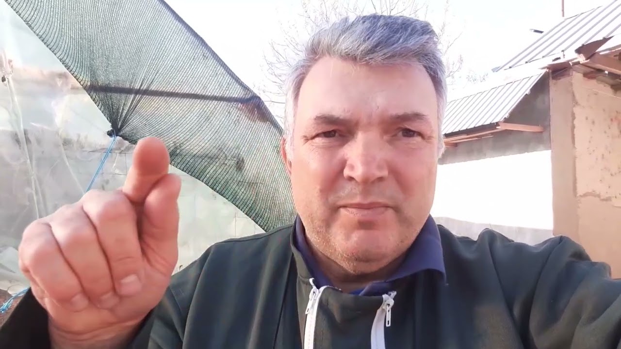 Pregătirea caprelor pentru pășunat  !