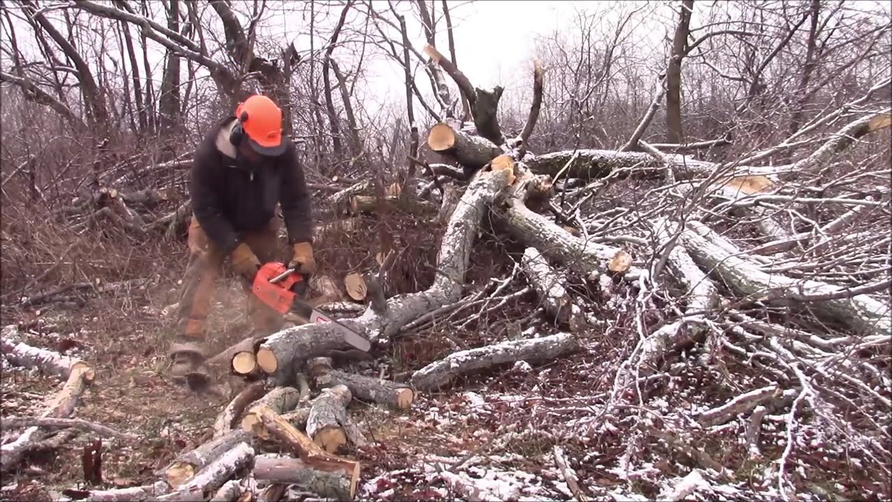 Husqvarna L77. День 3. Какую рекомендацию вы бы дали на часто задаваемый вопрос?
