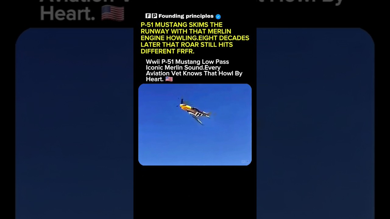 That P-51 Mustang Still Hits Different 🚀#soldier #USA #USArmy #Military #USAF