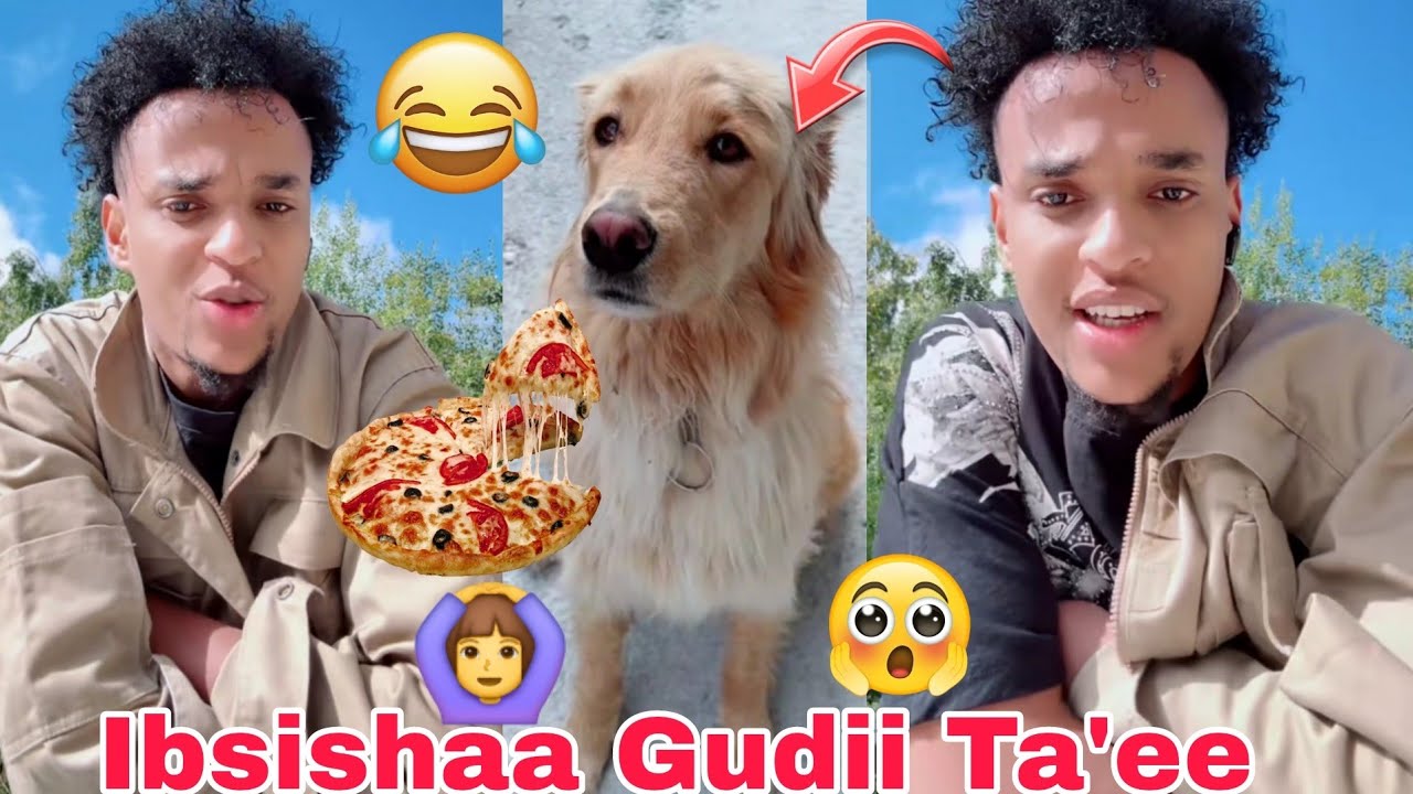 Ibsishaa Saree Faranjii 🥻 Xaharaa  Qabdii Wan Godhee Live Irraatii 😱🫢🤣🙆‍♀️👈
