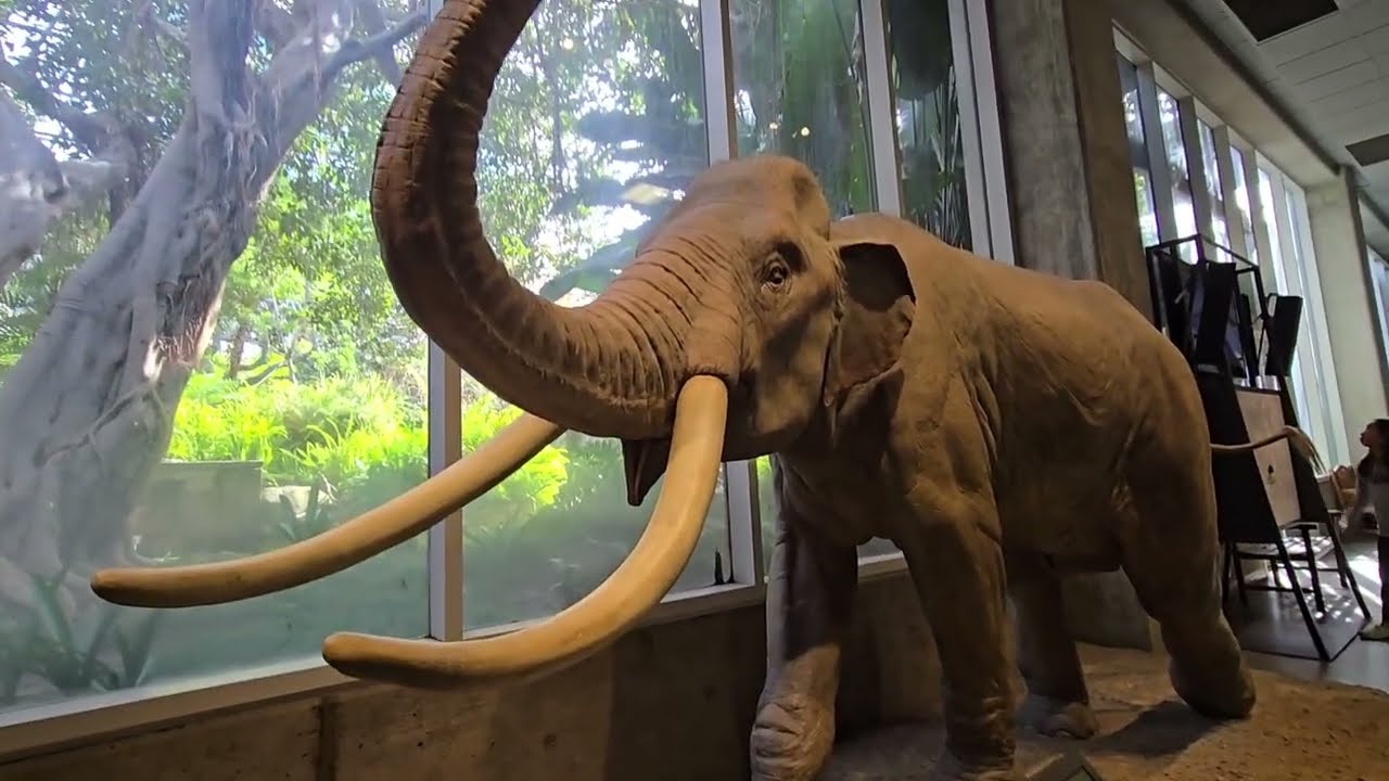 I visited LE BREA TAR PITS!!! |Vlog Ice age|