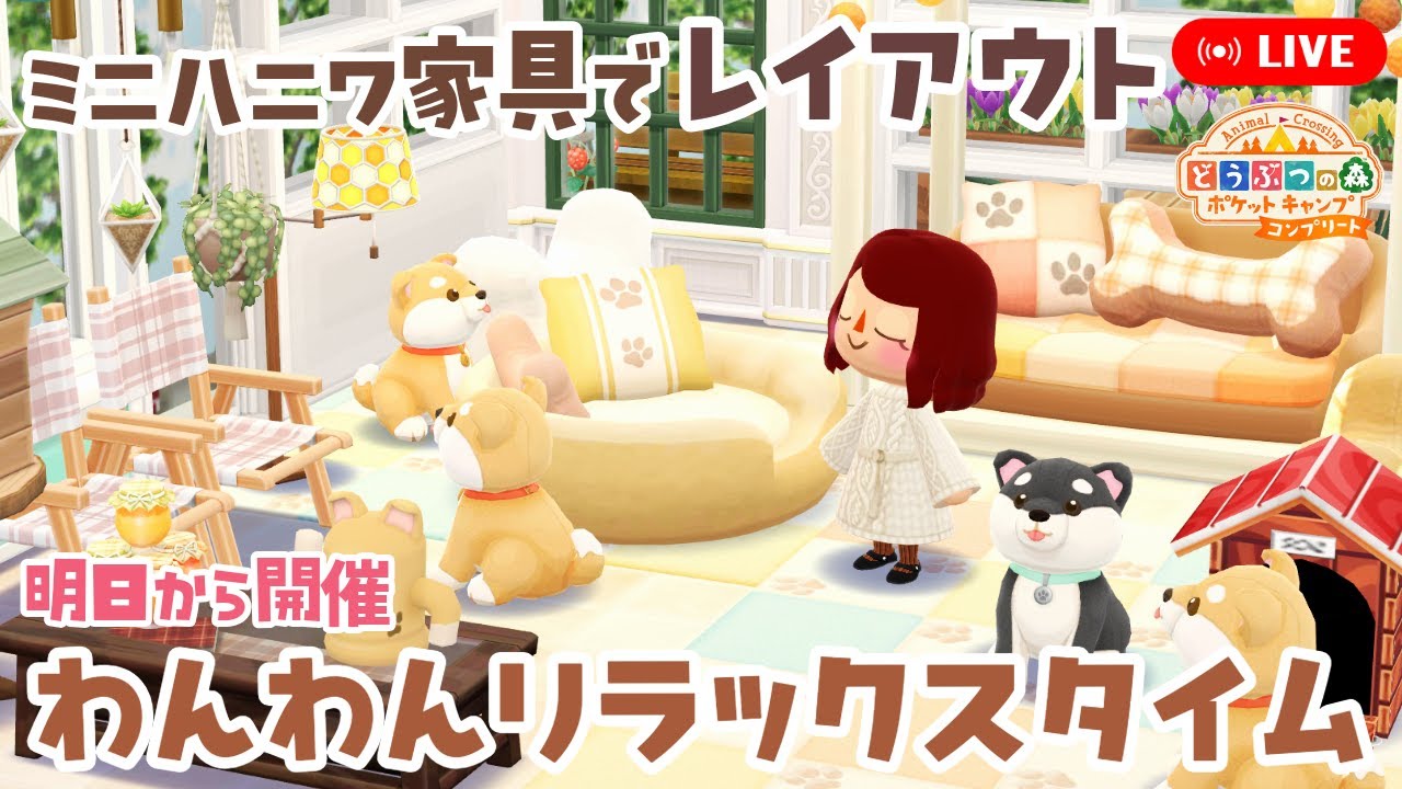 【ポケ森コンプリート】わんわんリラックスタイムの家具を使ってレイアウトします【どうぶつの森ポケットキャンプコンプリート】LIVE