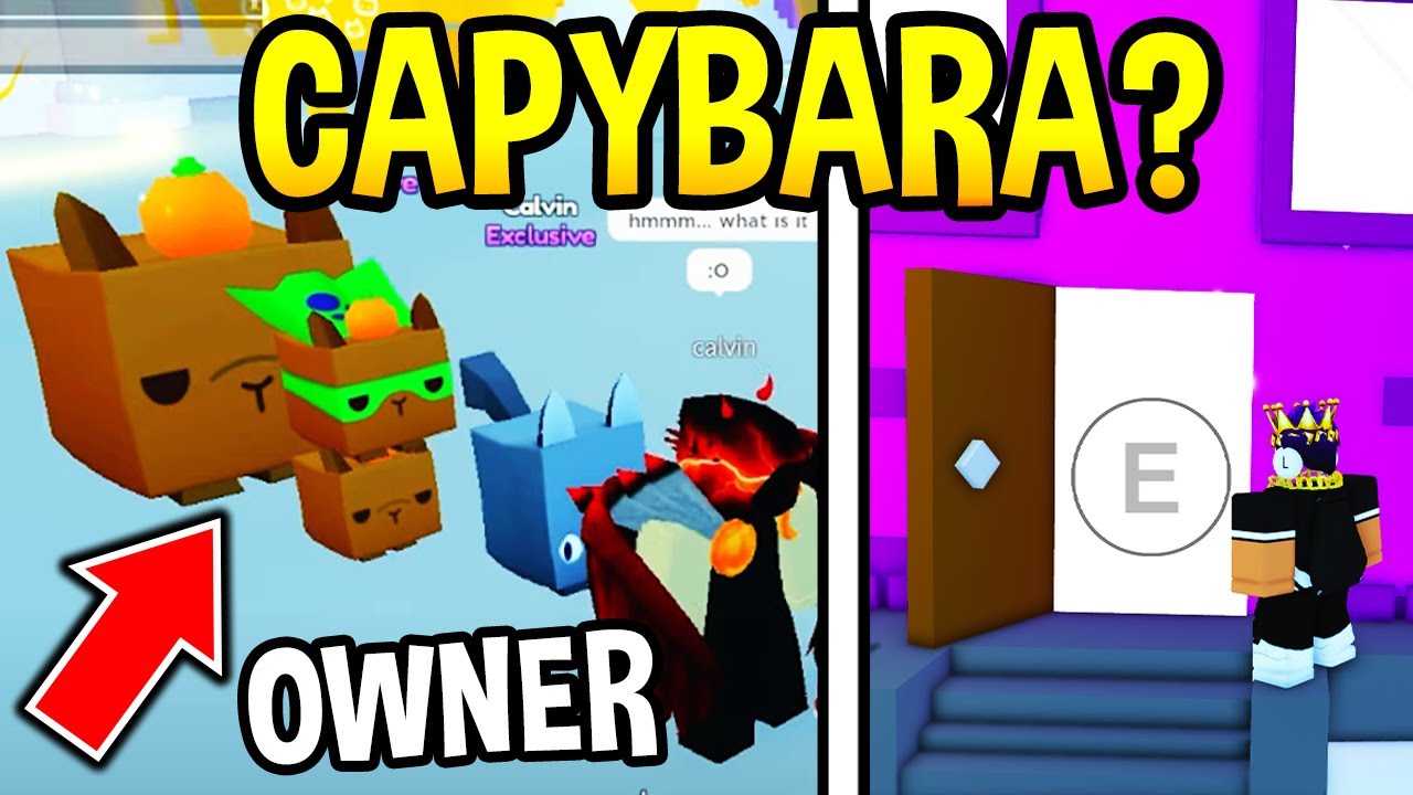 HUGE CAPYBARA PET in Pet Simulator X ANNIVERSARY UPDATE..?