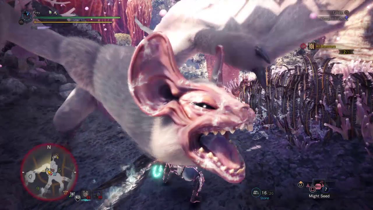 MHWI | Symphony of the Coral 12'20