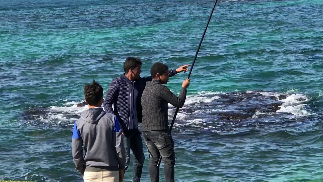 Fishing in Alexandria Bay Egypt