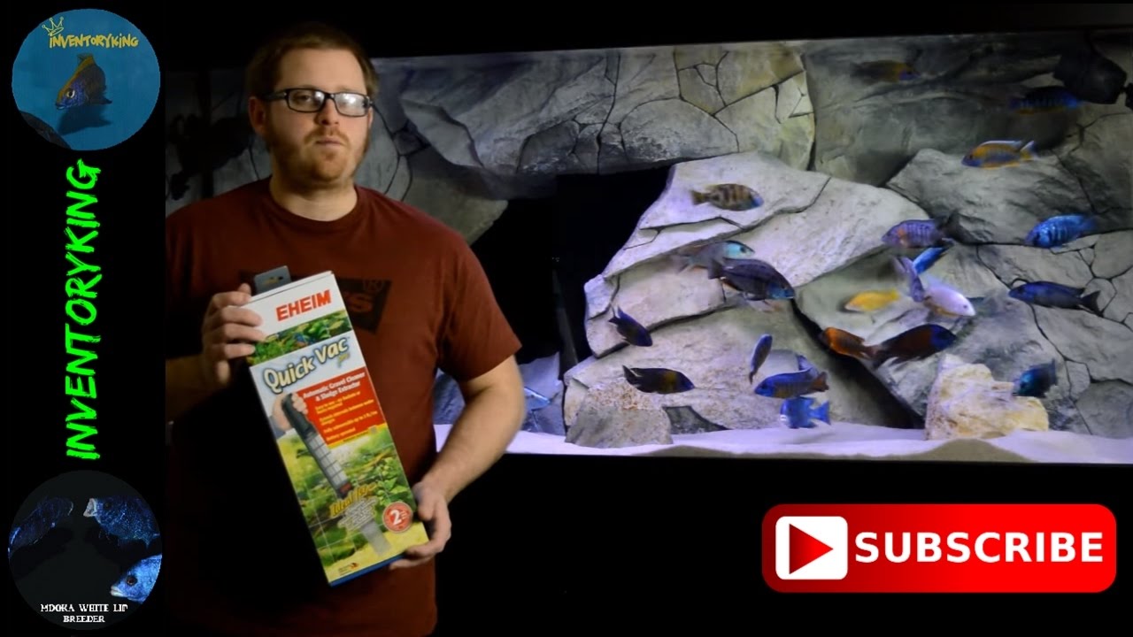 Eheim Quick Vac Pro In Action | Vaccum Your Sand And Gravel Beds | Speeds Up Maintenance