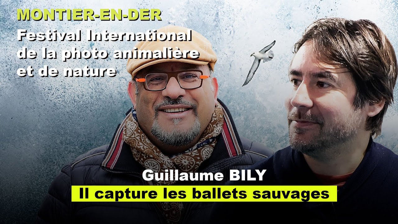 Montier-en-Der Festival de la photo animalière : Guillaume Bily photographe, ambassadeur Sigma