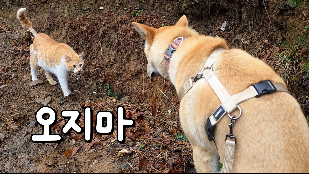 자꾸 점점 멀어집니다