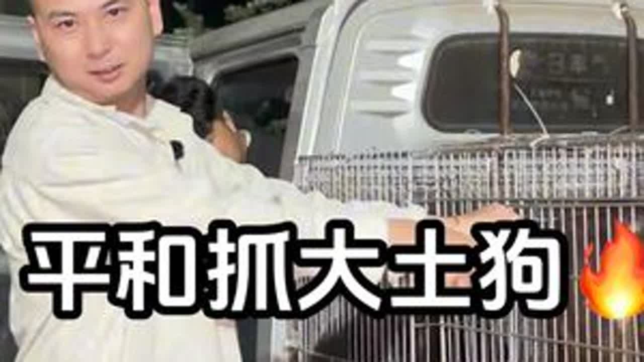 我们做生意说一就是一说二就是二，跟大姐儿子谈好了，过来又跟我坐地起价#中华田园犬 #萌宠出道计划 #不养狗不知道养狗的乐趣 #同城热门