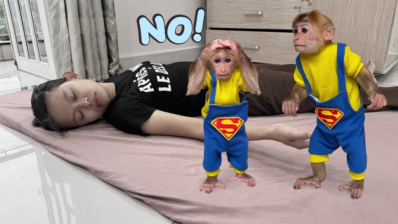 Lucky panicked when he saw mom lying still – What happened?