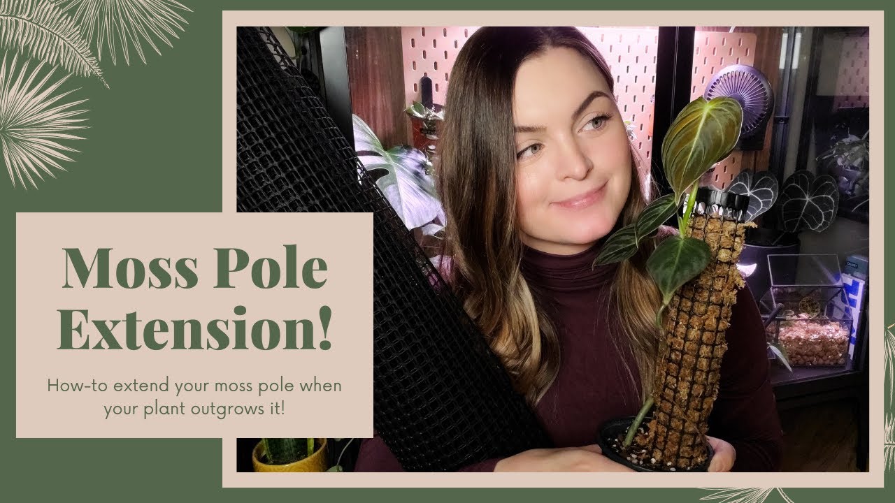 How To Extend your Moss Pole!