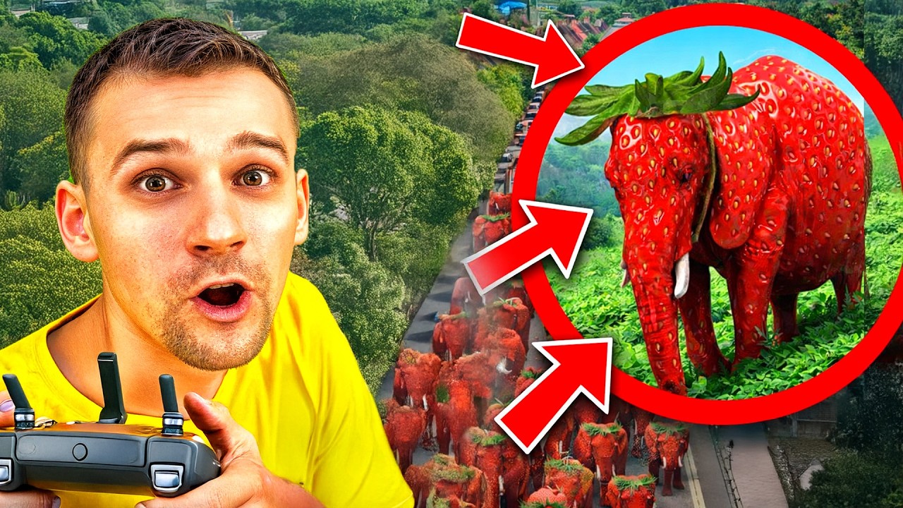 Mi dron captó un Strawberry Elephant en la vida real | Anglikosik España