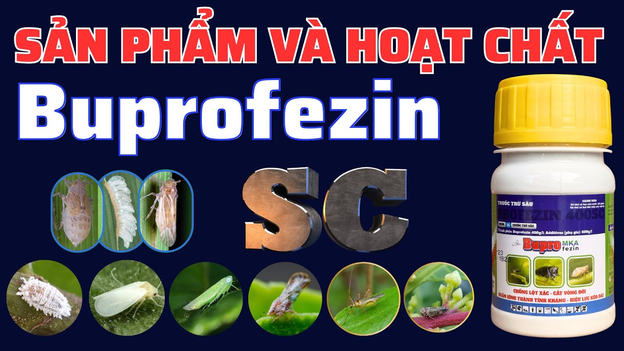 Sản phẩm chứa hoạt chất BUPROFEZIN dạng SC | Quản l&yacute; ch&iacute;ch h&uacute;t chống lột x&aacute;c hiệu lực k&eacute;o d&agrave;i
