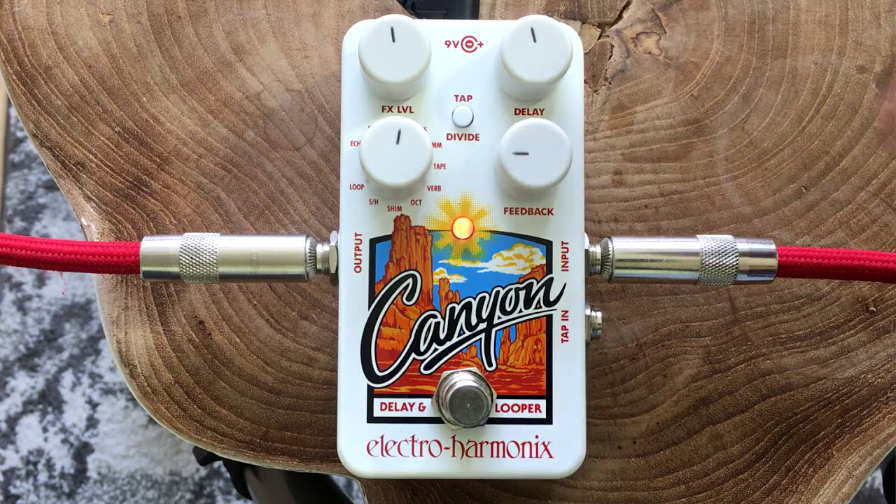 Electro-Harmonix Canyon | delay & looper