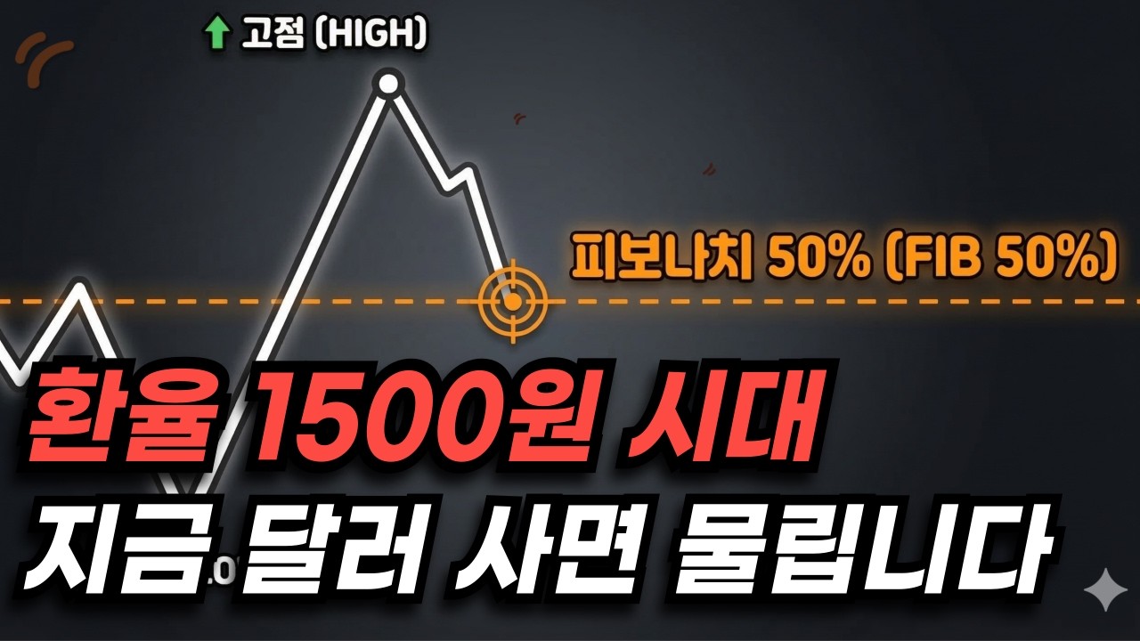 책에서도 안알려준 달러투자의 실전 투자방법