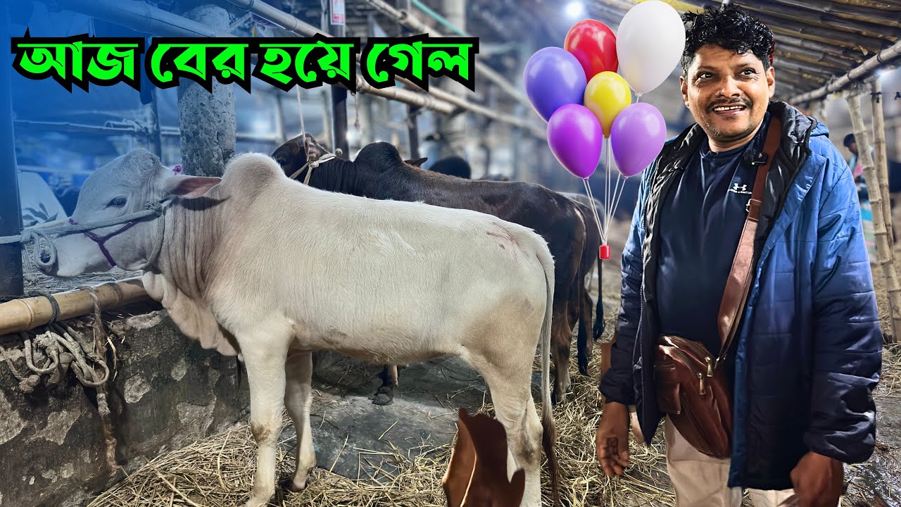 দরদামে আটকে গেল ডিল! 😔 | গাবতলী হাটে মিসফিল্ডিং | Akram Vai | 5 Feb 2026