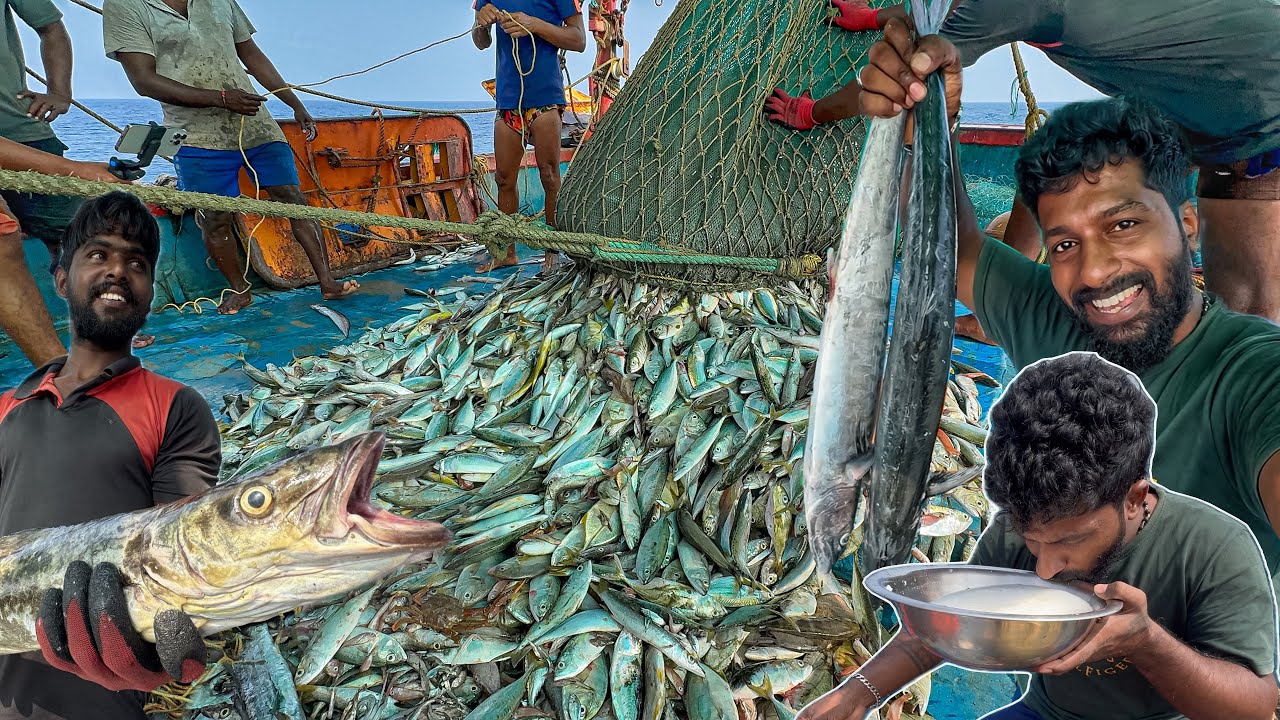 AMAZING 🤩 We Caught Tons of Mackerel and Trevally Fish in a Single Day at DeepSea