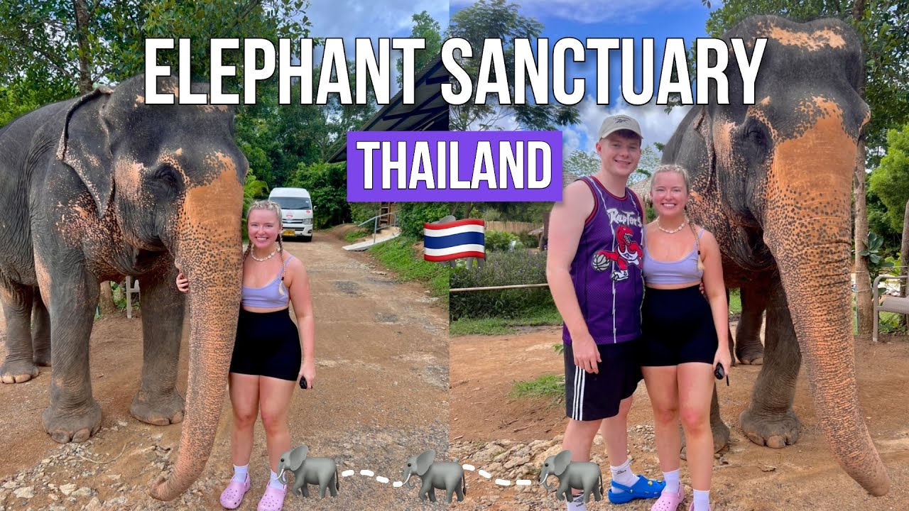 ELEPHANT JUNGLE SANCTUARY PHUKET 🐘 🇹🇭 Swimming and Washing Elephants  | Backpacking Thailand