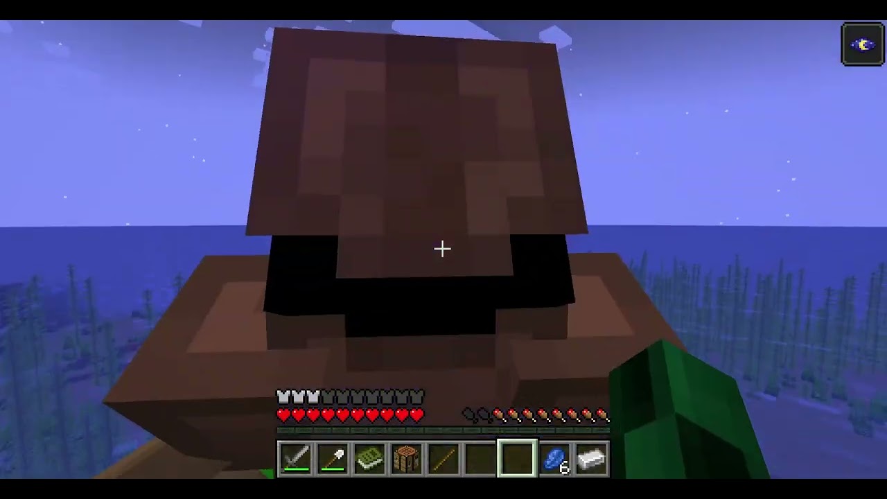 Hilfe wo bin ich hier gelandet (Minecraft Zusammen )